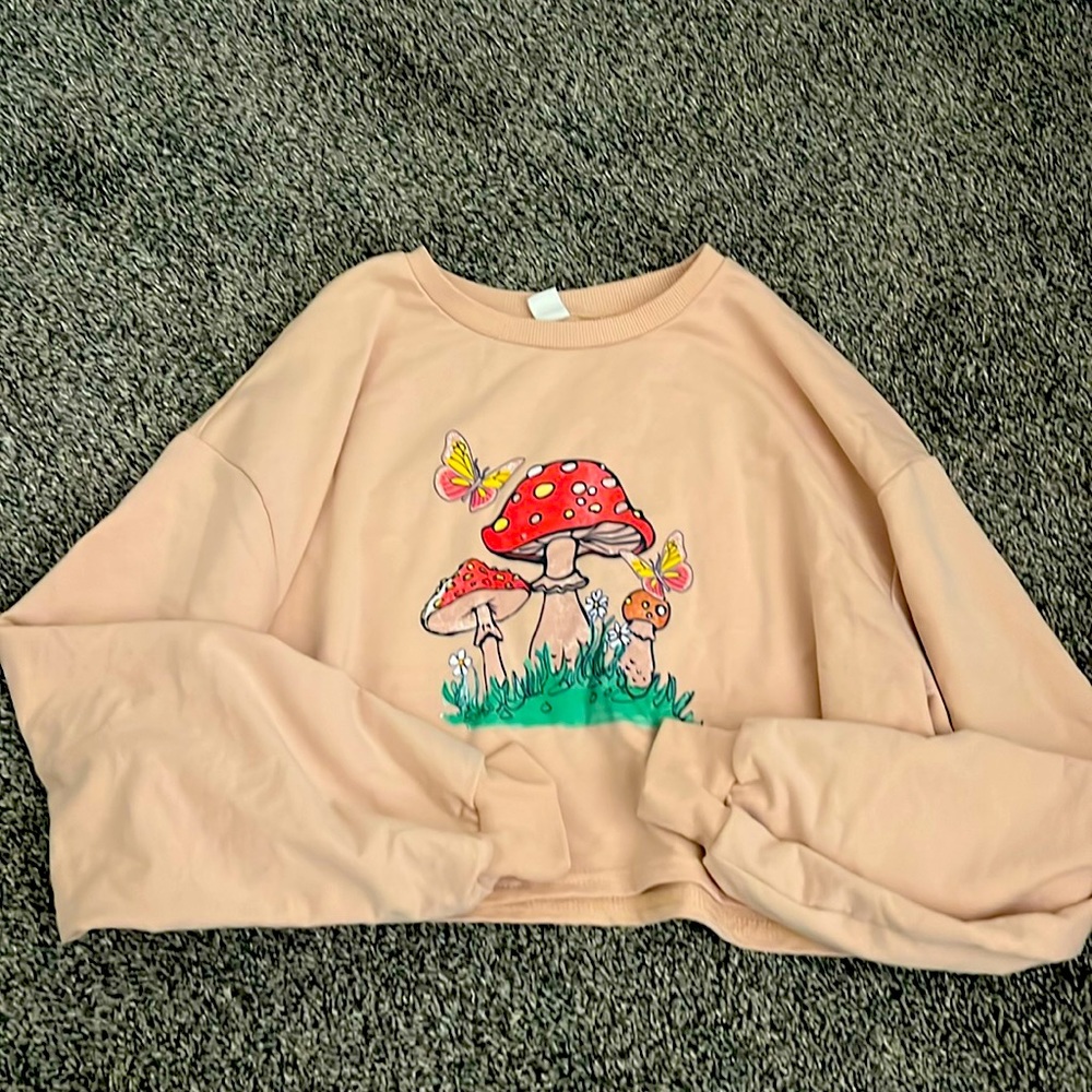 A cute sweater with a fairy mushroom front